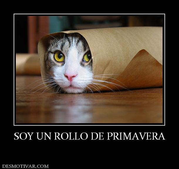 SOY UN ROLLO DE PRIMAVERA