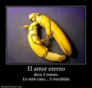 El amor eterno dura 3 meses. En este caso... 3 mordidas