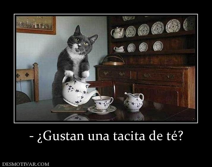 - ¿Gustan una tacita de té?