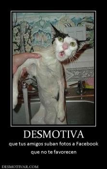 DESMOTIVA que tus amigos suban fotos a Facebook que no te favorecen