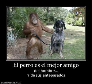 El perro es el mejor amigo del hombre... Y de sus antepasados