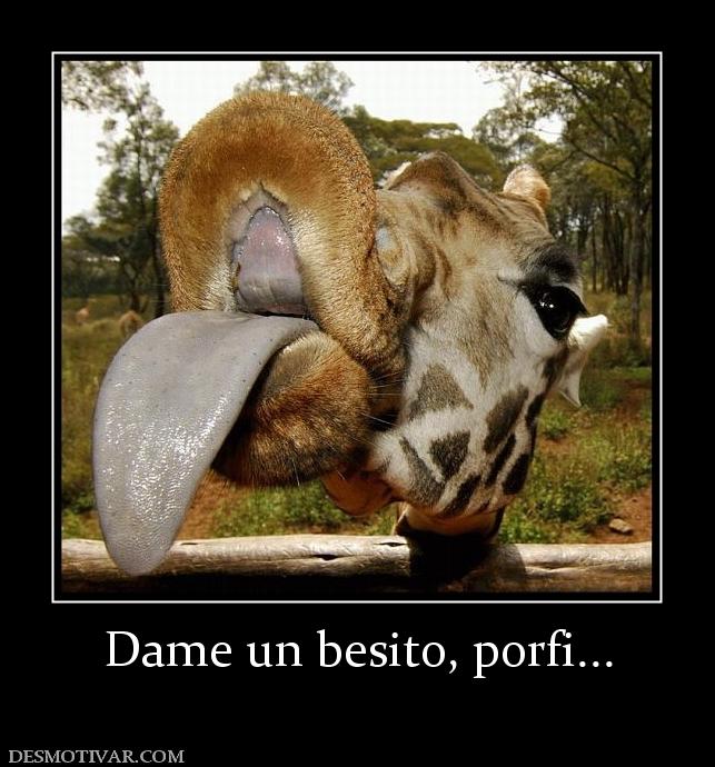 Dame un besito, porfi...