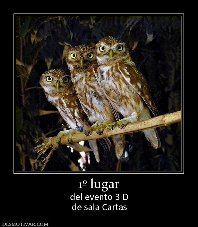 1º lugar del evento 3 D de sala Cartas