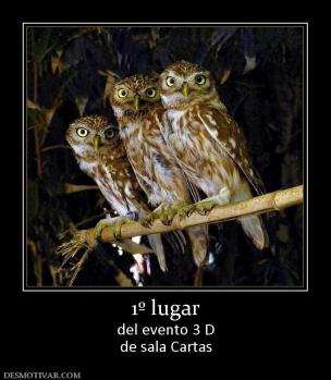 1º lugar del evento 3 D de sala Cartas