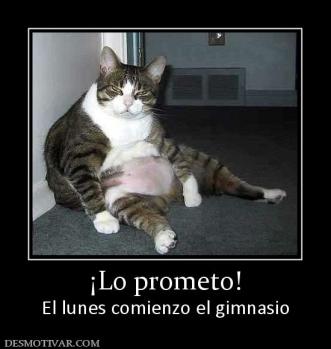 ¡Lo prometo! El lunes comienzo el gimnasio