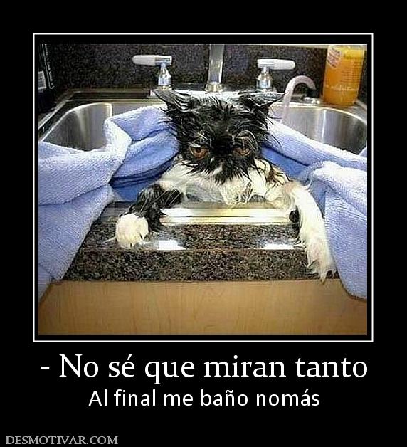 - No sé que miran tanto Al final me baño nomás