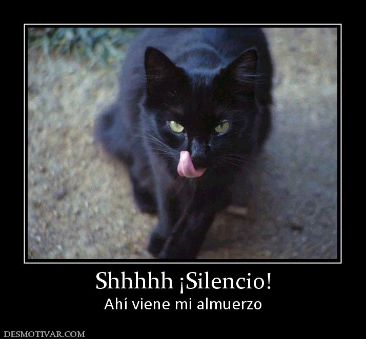 Shhhhh ¡Silencio! Ahí viene mi almuerzo