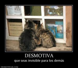 DESMOTIVA que seas invisible para los demás