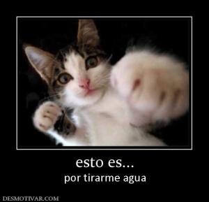 esto es... por tirarme agua