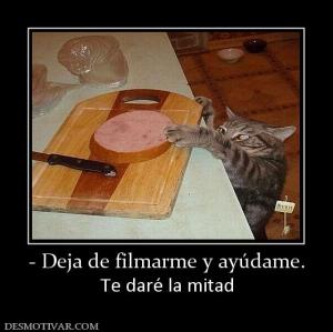 - Deja de filmarme y ayúdame. Te daré la mitad