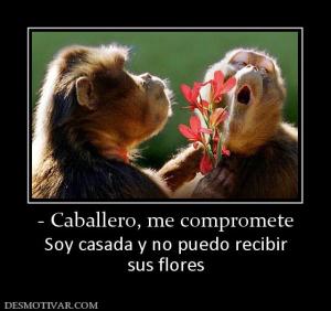 - Caballero, me compromete Soy casada y no puedo recibir sus flores