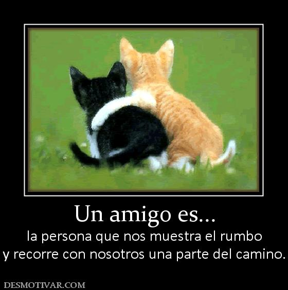 Un amigo es... la persona que nos muestra el rumbo y recorre con nosotros una parte del camino.