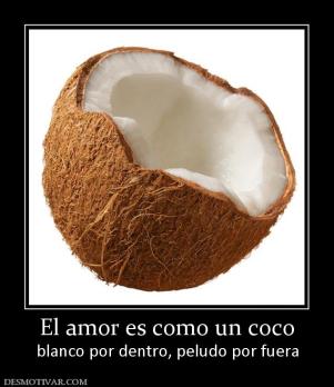 El amor es como un coco blanco por dentro, peludo por fuera