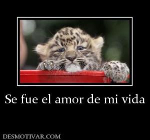 Se fue el amor de mi vida