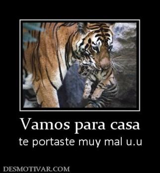 Vamos para casa te portaste muy mal u.u