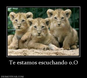 Te estamos escuchando o.O