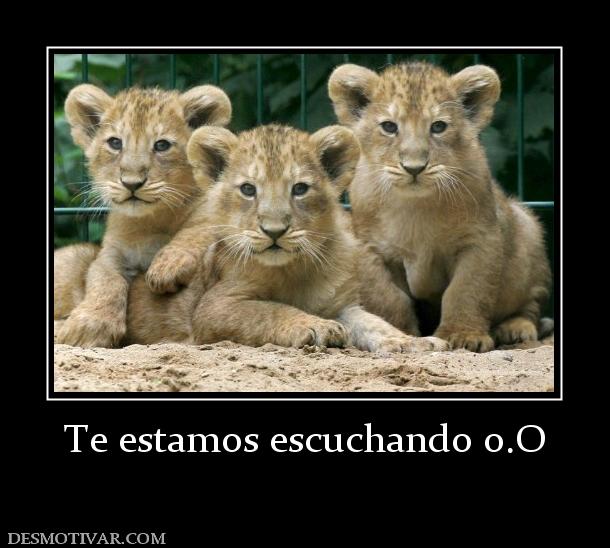 Te estamos escuchando o.O