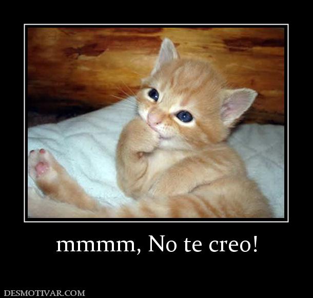 mmmm, No te creo!
