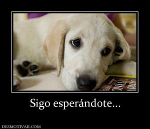 Sigo esperándote...