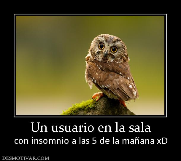 Un usuario en la sala con insomnio a las 5 de la mañana xD