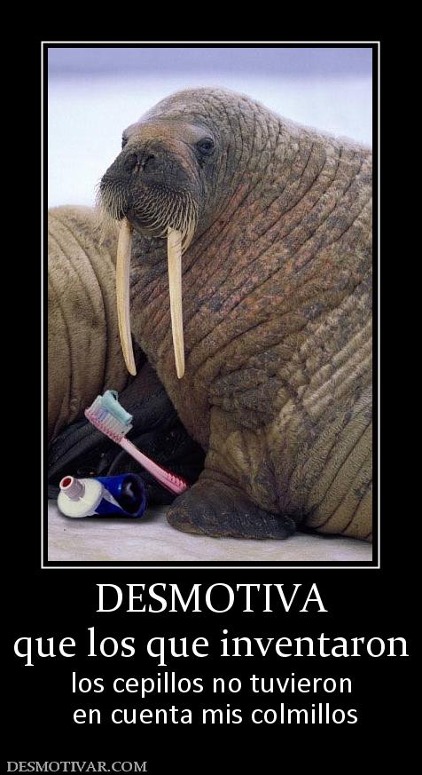 DESMOTIVA que los que inventaron los cepillos no tuvieron  en cuenta mis colmillos