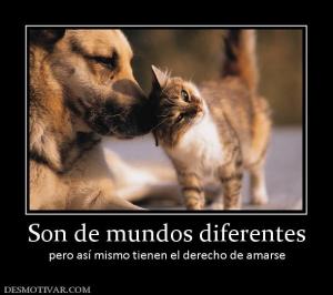 Son de mundos diferentes pero así mismo tienen el derecho de amarse