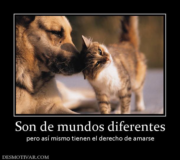 Son de mundos diferentes pero así mismo tienen el derecho de amarse