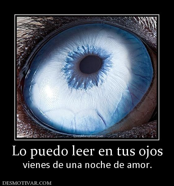 Lo puedo leer en tus ojos vienes de una noche de amor.