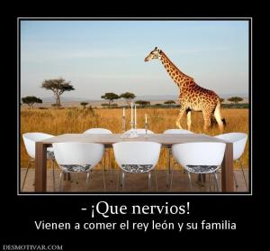 - ¡Que nervios! Vienen a comer el rey león y su familia
