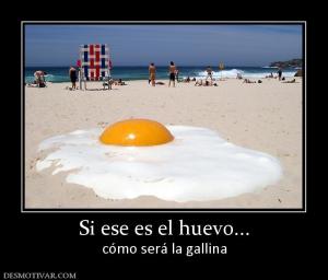 Si ese es el huevo... cómo será la gallina
