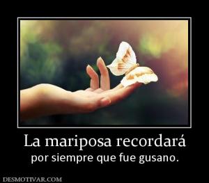La mariposa recordará por siempre que fue gusano.