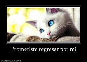Prometiste regresar por mi