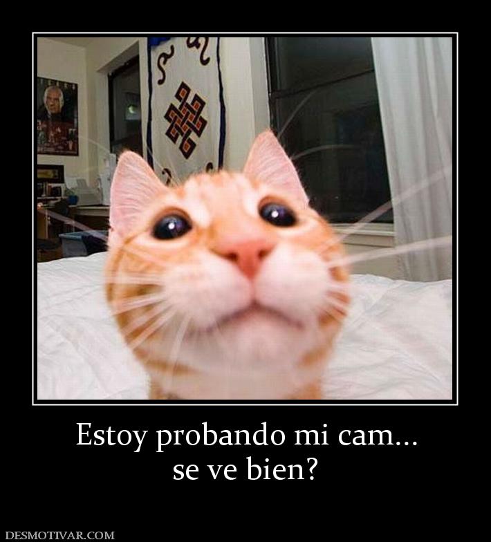 Estoy probando mi cam... se ve bien?