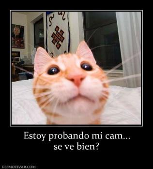 Estoy probando mi cam... se ve bien?