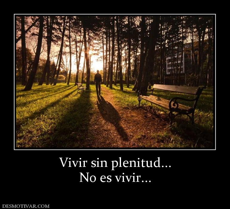 Vivir sin plenitud... No es vivir...