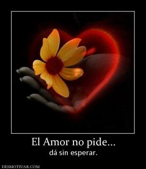 El Amor no pide... dá sin esperar.