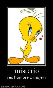 misterio ¿es hombre o mujer?