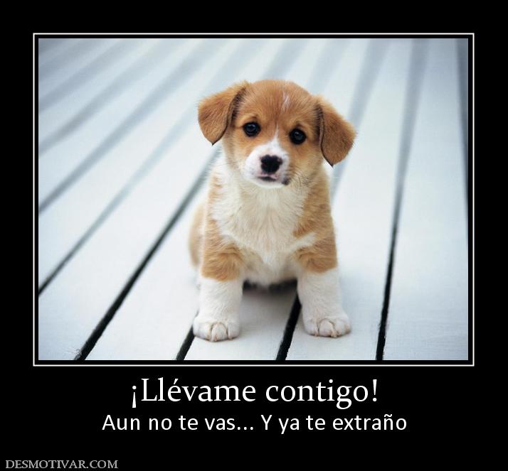 ¡Llévame contigo! Aun no te vas... Y ya te extraño