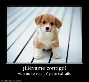 ¡Llévame contigo! Aun no te vas... Y ya te extraño