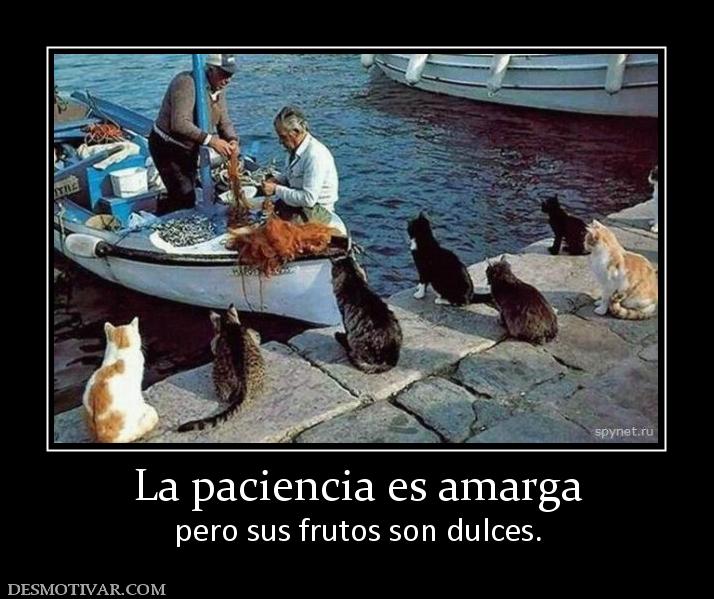 La paciencia es amarga pero sus frutos son dulces.