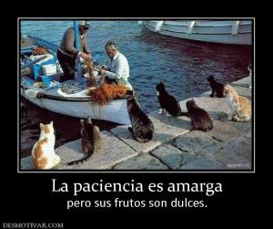 La paciencia es amarga pero sus frutos son dulces.