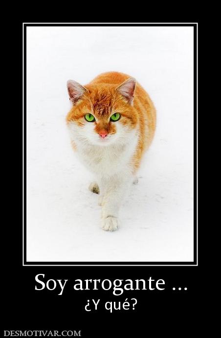 Soy arrogante ... ¿Y qué?