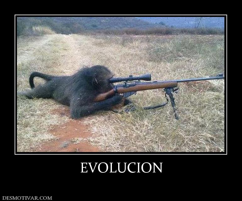 EVOLUCION