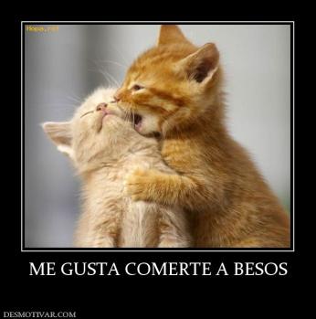 ME GUSTA COMERTE A BESOS