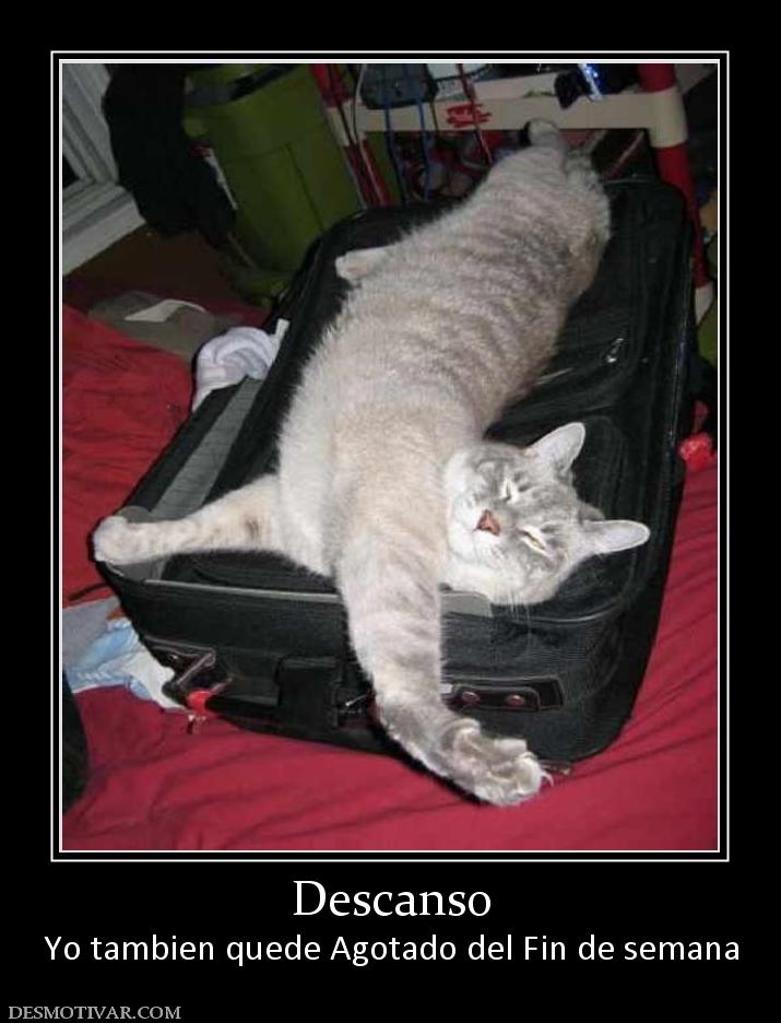 Descanso Yo tambien quede Agotado del Fin de semana