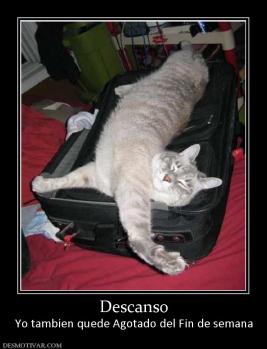 Descanso Yo tambien quede Agotado del Fin de semana