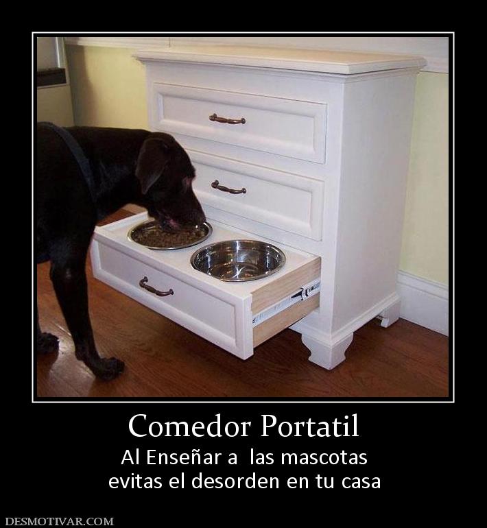 Comedor Portatil Al Enseñar a  las mascotas evitas el desorden en tu casa