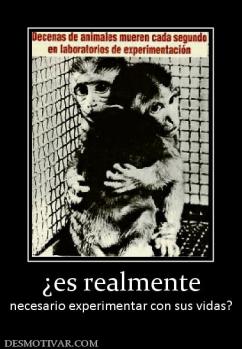 ¿es realmente necesario experimentar con sus vidas?