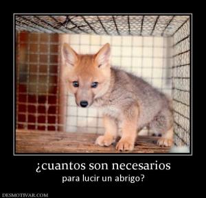 ¿cuantos son necesarios para lucir un abrigo?