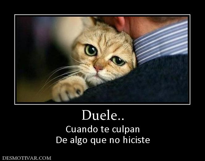 Duele.. Cuando te culpan De algo que no hiciste